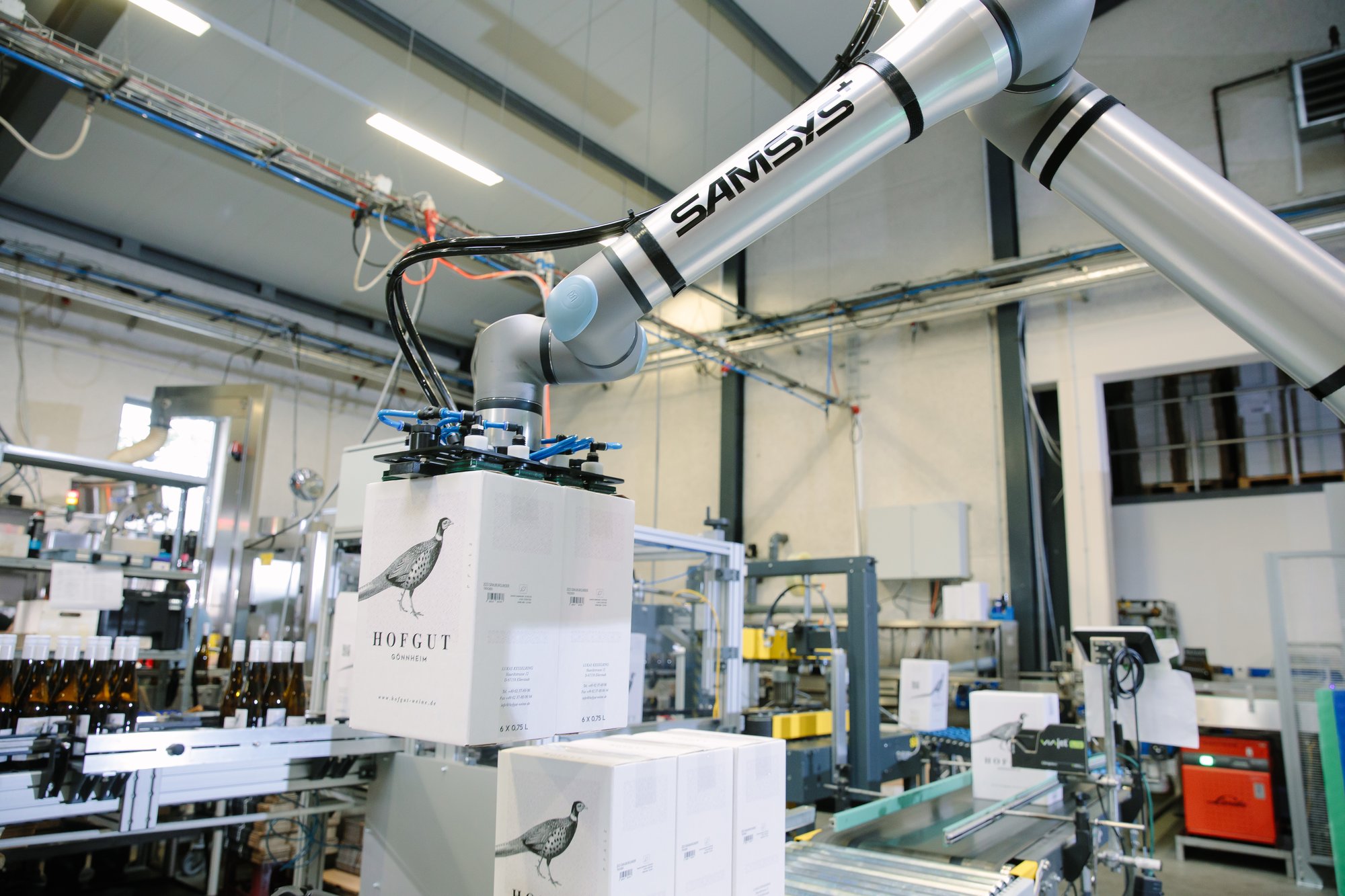 09_2024_WE_CaseStory_Raumland 07-2-1