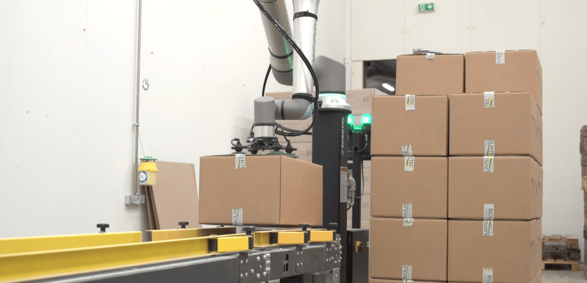 Biolintech palletizing solution 4