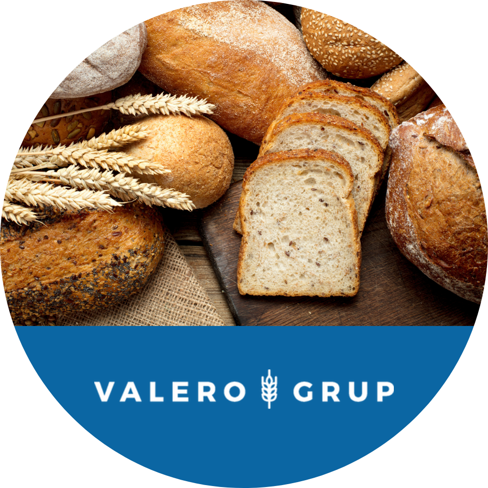 Valero grup industry